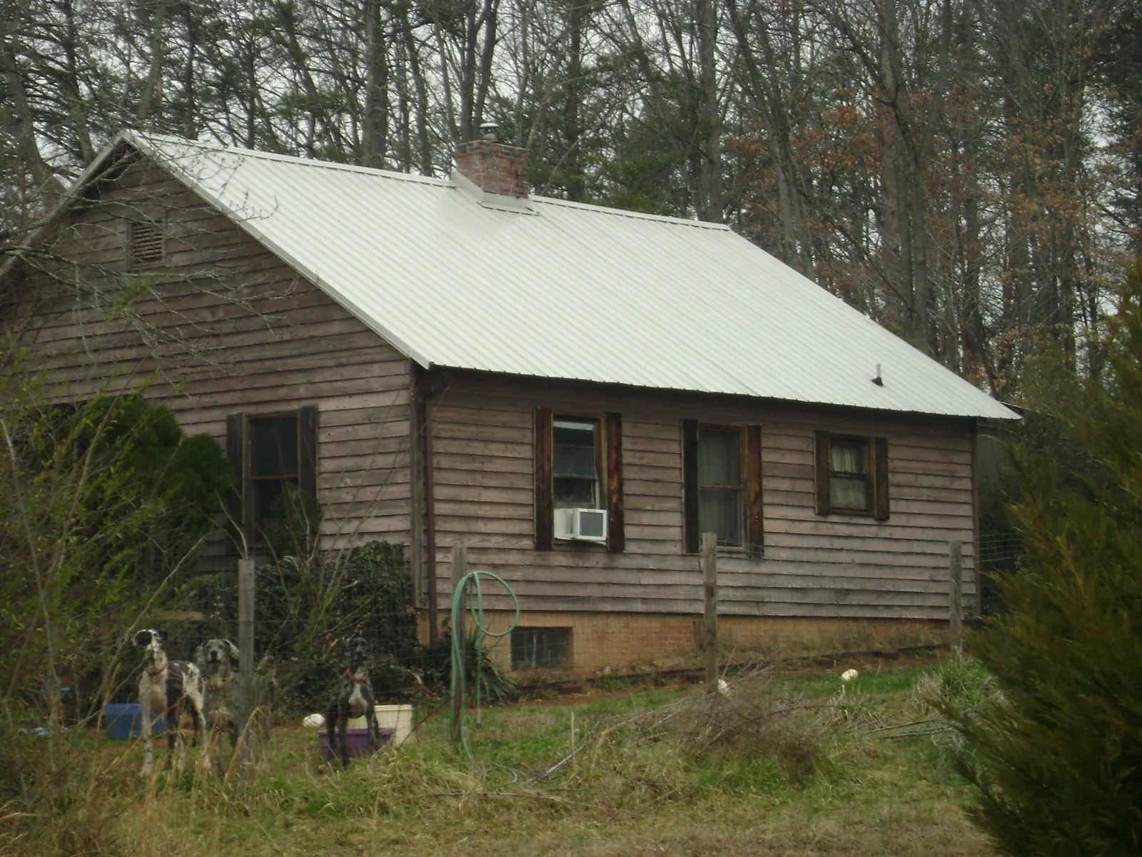 White metal roof on an old wood sided farmhouse, from a Asphalt Shingle Roof Repair job in Lakeland